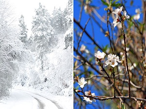 Anadolu'da kar, Marmaris'te bahar