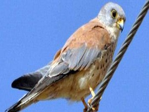 Hatay'da tabiat parkı Avrupa'da bir ilk olacak