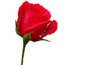 Yemek konulduğunda, etrafından yiyin, ortasını bırakın