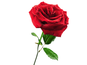 Bütün hastalıkların kaynağı, birbiri üstüne yemek yemektir