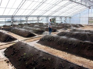 Çiftçinin Yeni Gözdesi Solucan Gübresi