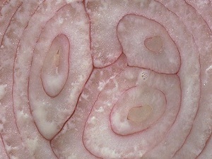 Soğan suyu ile hastalıklardan kurtulun