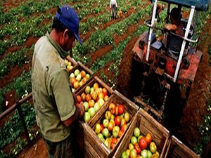 Çiftçilere ‘yalancı bahar’ uyarısı