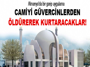 Camiyi güvercinlerden öldürerek kurtaracaklar!