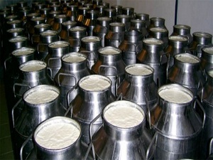 Süt üretiminde yüzde 3'lük artış