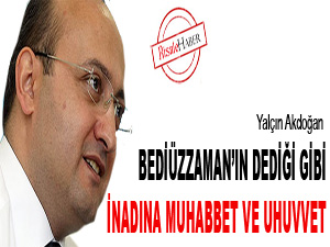 Bediüzzaman dediği gibi inadına muhabbet ve uhuvvet