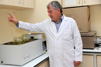 KMÜ, ceviz kabuğundan güneş pili üretti