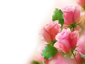 Cenazenin geçtiğini görürseniz oturmayın