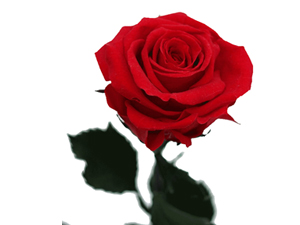 Ezanla kamet arasında yapılan dua reddedilmez