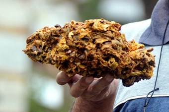 Propolisin faydaları bilimsel olarak kanıtlandı