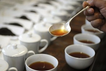 Tabiatın şifacıları bakanlık takibinde