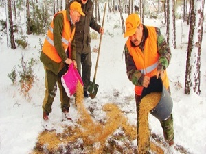 Yabani hayvanlara yine yem bırakılacak