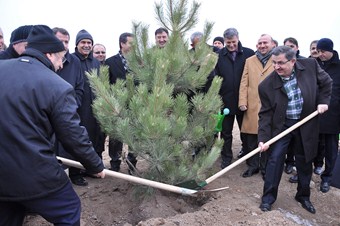Memur Sen 1 milyon ağaç dikecek