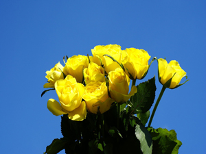 Ne olur, sadakayı anne-babanız adına verin