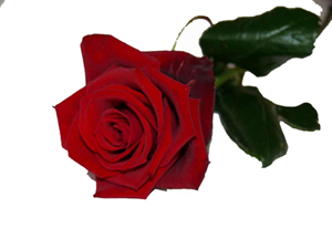 İki kişinin arasını düzeltmek faziletli bir amel