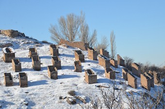 Gesi bağlarındaki kuş evleri yenilenecek