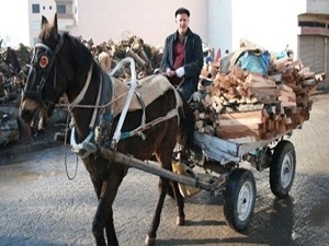 At arabacılığı teknolojiye yenik düştü