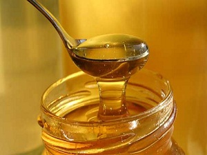 Muğla'da organik bal üreticileri sertifikalanıyor