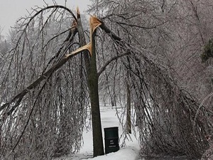 ABD'de kar fırtına ve sel can aldı