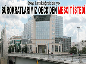 Bürokratlarımız OECD'den mescit istedi