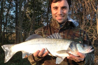 Sinop’ta amatör balıkçı oltayla 20 kiloluk levrek yakaladı