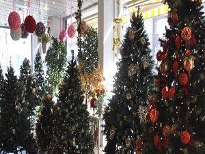 Diyanetten çam ağacı uyarısı