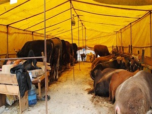 Hayvan kayıt işlemlerinde değişiklik