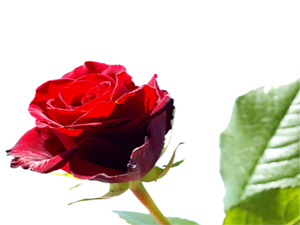 Allah'ın her namaz vakti şöyle seslenen bir meleği vardır