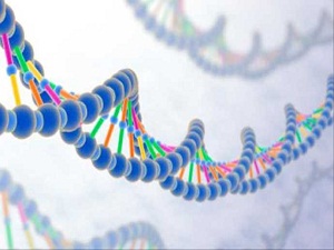 Romatizma yaşlı olduğu kadar gençlerinde hastalığı'