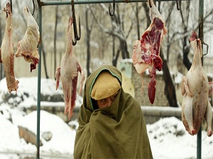 'Kaz eti' altınla yarışıyor