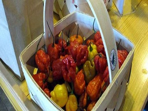 Dünyanın en acı biberi resmen o!