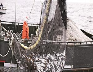 Balıkçı tekne desteğini sevdi