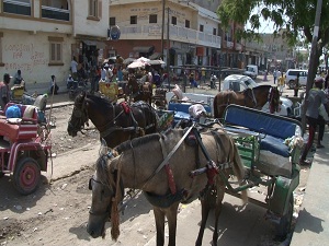 Senegal’in benzinsiz araçları 'Clashlar'