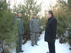 Orman timleri çam nöbetinde