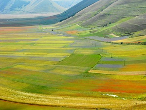 Sudan’da 5 milyon dönüm arazi işadamlarına kiralanacak