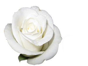 Öfkelenince oturun, geçmezse yatın