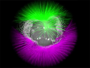 Güneş baş aşağı döndü