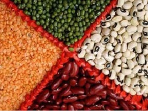 2016, ‘Uluslararası Bakliyat Yılı‘ ilan edildi