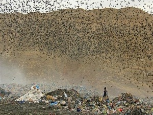 Ekmeklerini çöpten çıkarıyorlar
