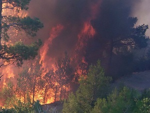 Mersin'de geçen yıl çıkan 987 yangında 509 hektar alan yandı