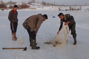 Ekmeklerini, buzun altından çıkarıyorlar