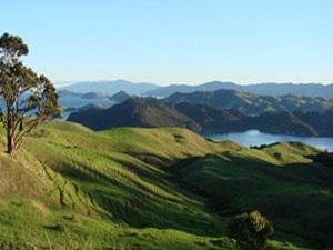 2B taşınmazlarının satışından 3,2 milyar lira tahsil edildi