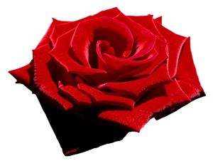 Selamı yayınız ki, düşmanlarınıza üstün gelesiniz