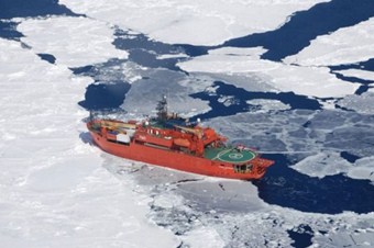 Buz ejderhası da mahsur kaldı