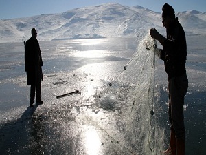 Jeneratörle balık avlamışlar!
