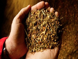 Sabahları bunu yiyin, incelin