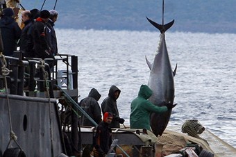 Denizlerde av yasağının tarihi belli oldu