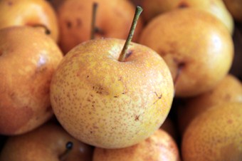 Meyve üreticisinin yeni gözdesi Asya armudu olacak