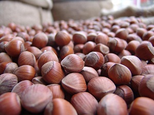 'Fındıktaki sorun fiyat değil üretim'