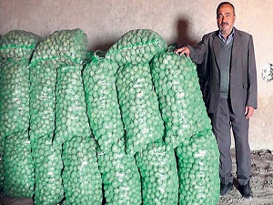 Patates, depoda 5 TL olmayı bekliyor